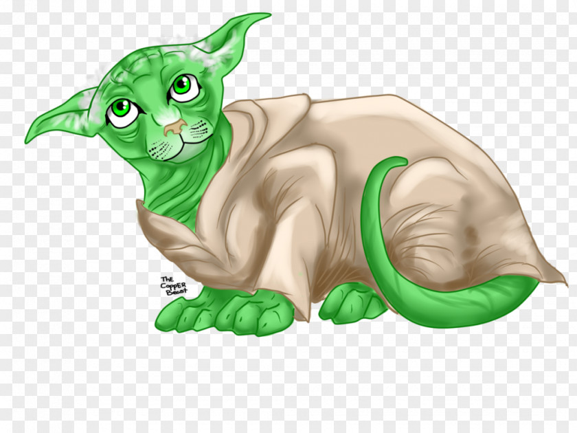 Kitten Whiskers Tabby Cat Reptile PNG
