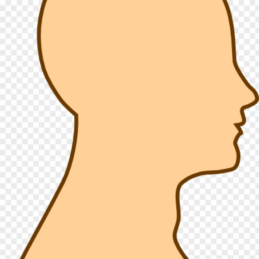 Brain Human Head Clip Art PNG