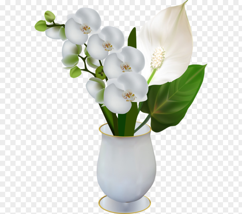 Flower Moth Orchids Dendrobium Clip Art PNG