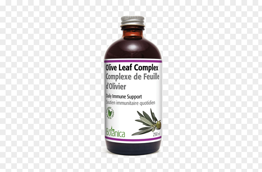 Herb Leaf Olive Extract Health PNG