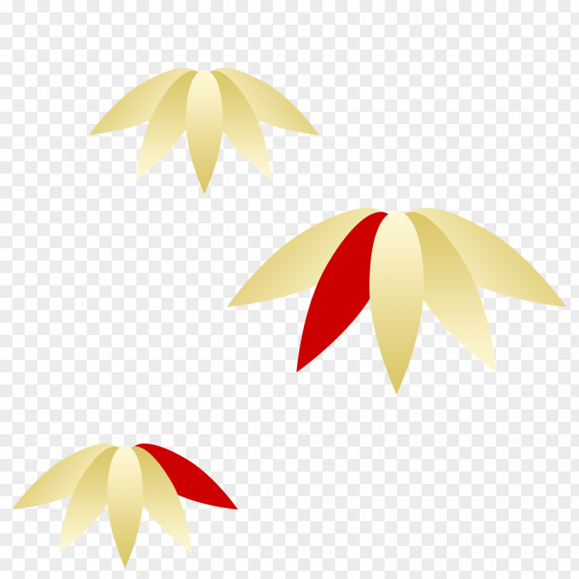 Leaf Product Design PNG