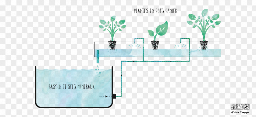 Plantes Hydroponics Aquaponics Farm L'Autre Campagne Technology PNG