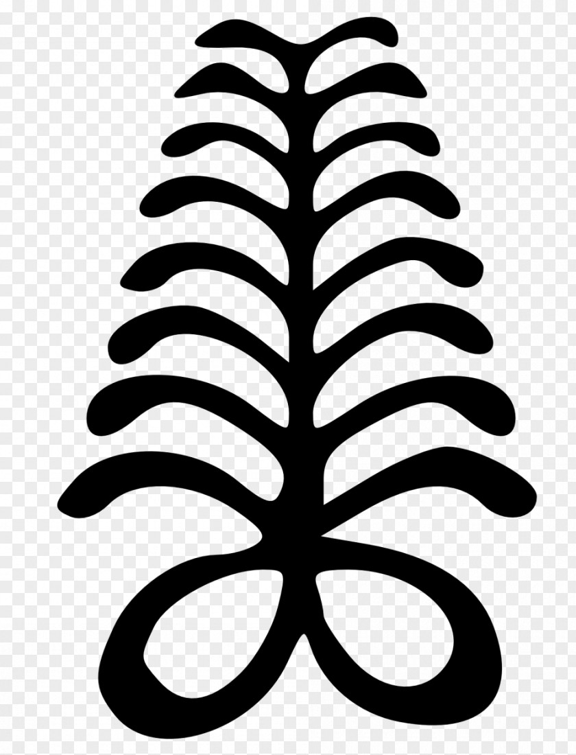 Symbol Adinkra Symbols Tattoo Fern Meaning PNG