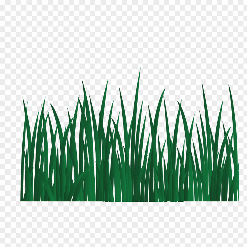 Vector Green Grass Grasses Energy Font PNG