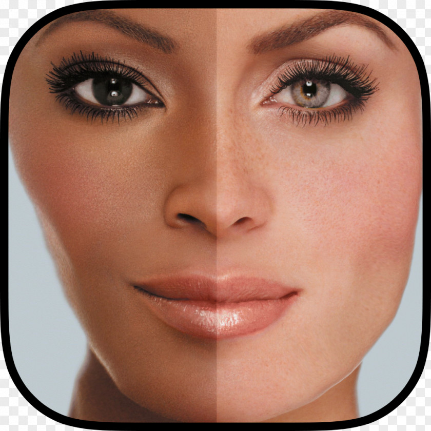 Face Forward Making Faces The Art Of Makeup Pro Makeup: Salon Secrets Professionals Cosmetics PNG