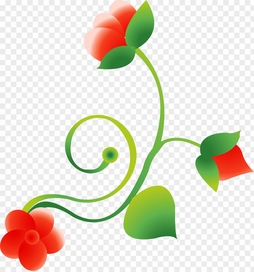 Flower Ring Drawing Clip Art PNG
