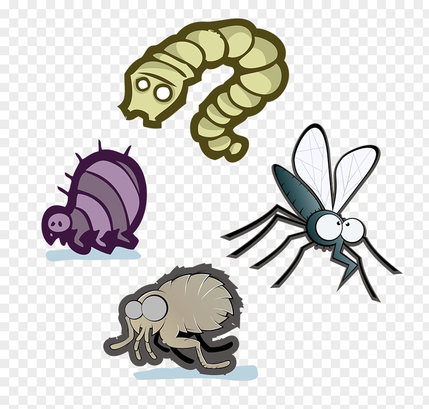Membranewinged Insect Animal Figure Crab Cartoon PNG