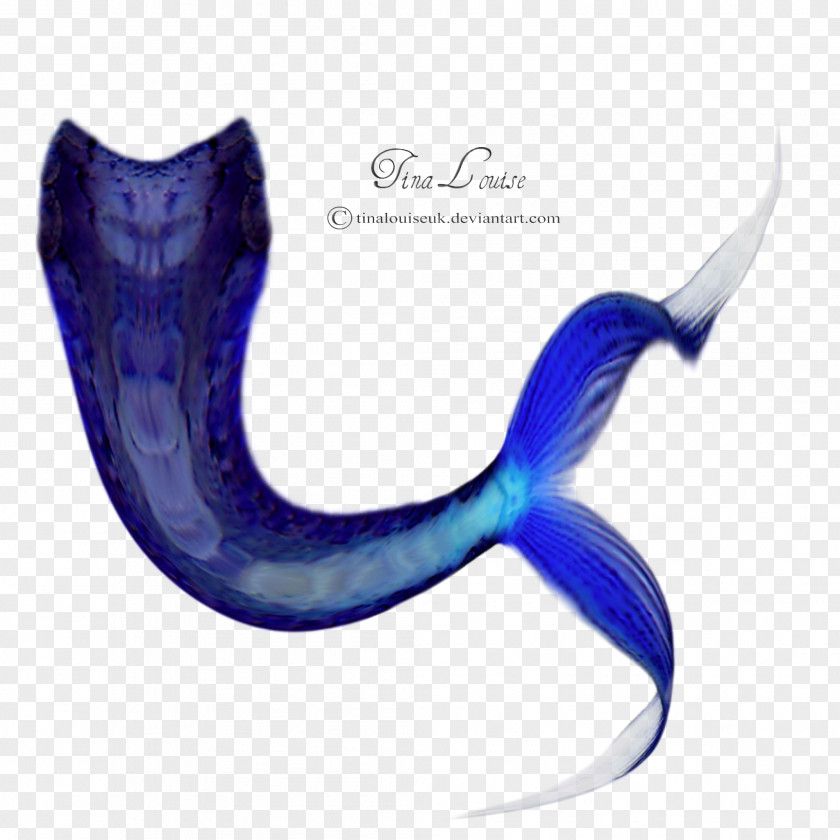 Mermaid Tail Image Clip Art PNG