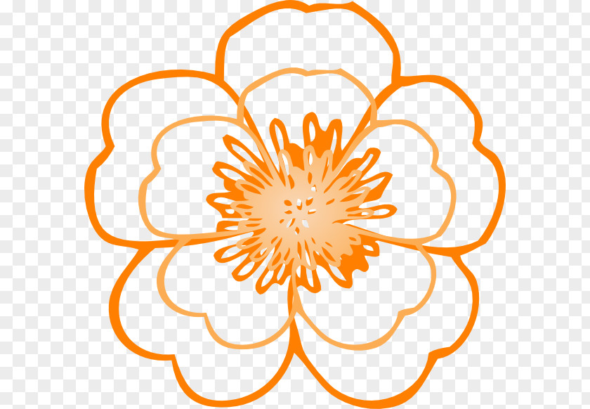 Orange Flower Black And White Clip Art PNG