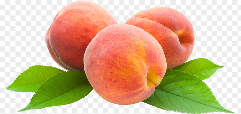 Peach Optimum Nutrition Essential Amino Energy Fruit Clip Art PNG