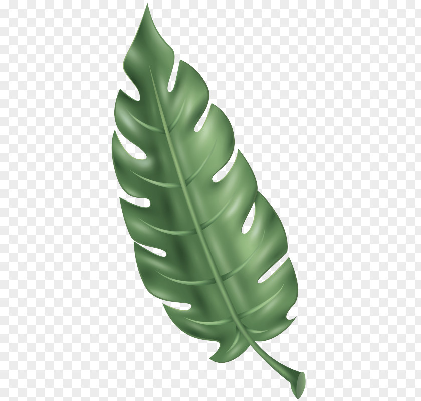 Personal Protective Equipment Plant Green Leaf Monstera Deliciosa Finger PNG