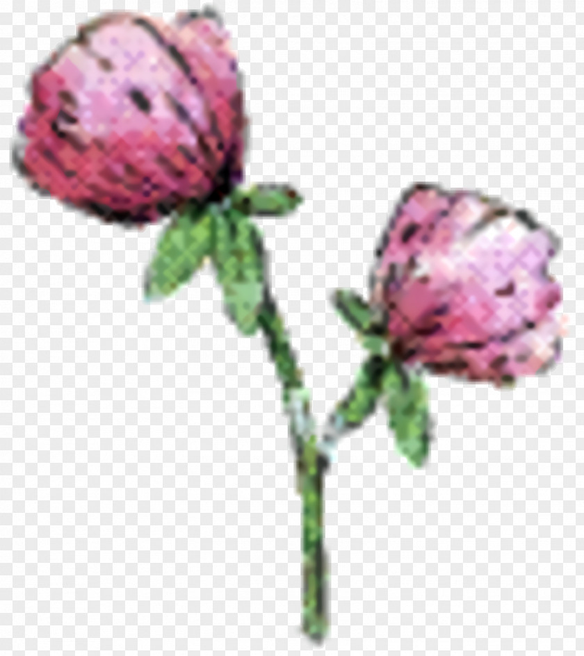 Plant Stem Pink Flower Cartoon PNG