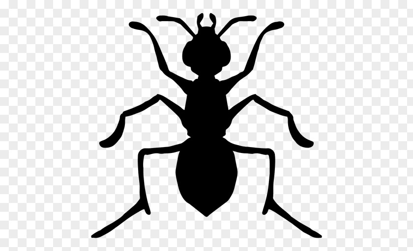 Ants Vector Triforce Silhouette Ant Insect PNG