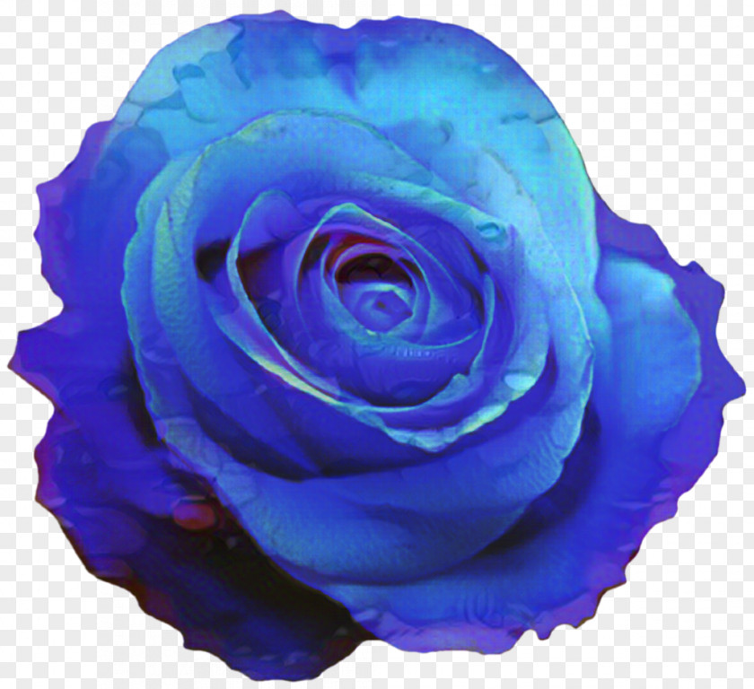 Blue Rose Clip Art Flower PNG