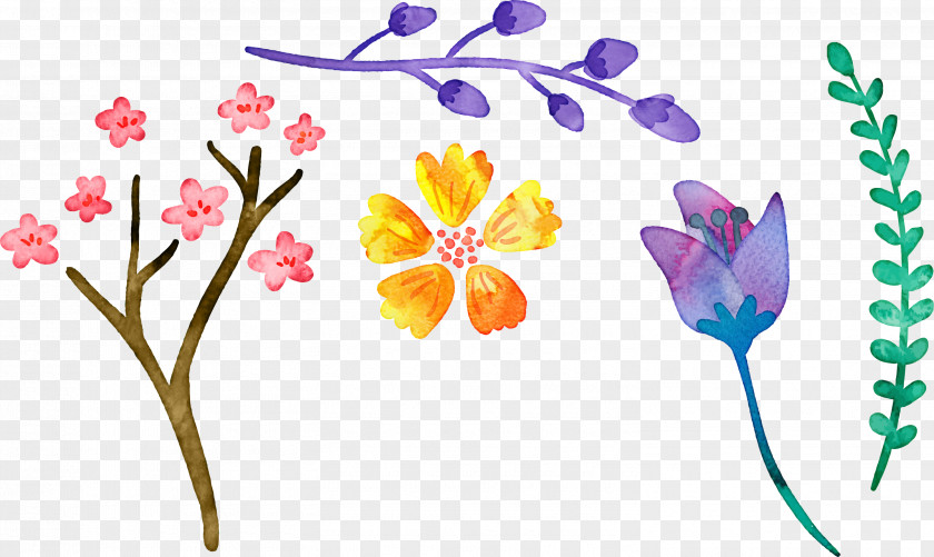 Cartoon Watercolor Floral Decoration Design Painting Flowers Creative PNG