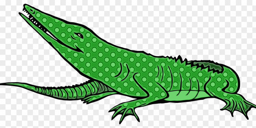 Common Iguanas Lizard Crocodile Line Art Amphibians PNG