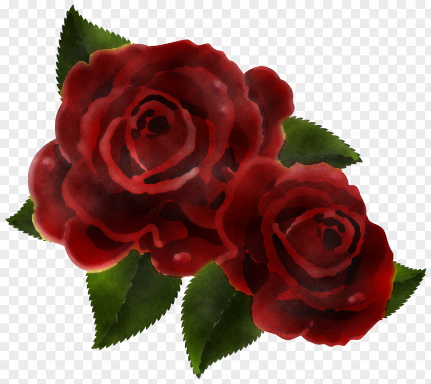 Garden Roses PNG