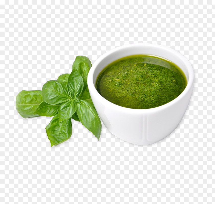 Salad Pesto Pasta Herb Sauce PNG