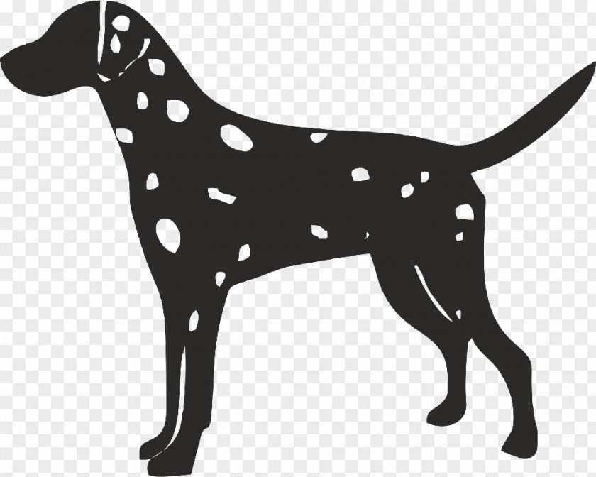 Silhouette Dalmatian Dog English Foxhound American Harrier PNG