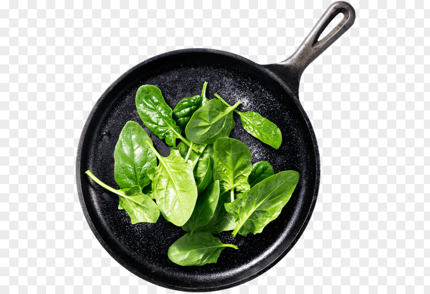 Vegetable Spinach Spring Greens Leaf Food PNG