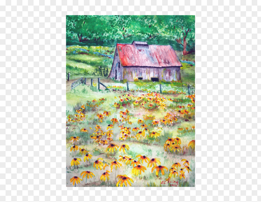 Watercolor Barn Painting Black-eyed Susan Acrylic Paint PNG