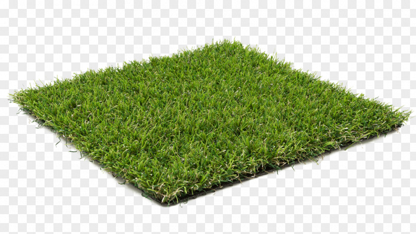 Carpet Artificial Turf Lawn Garden Furniture PNG