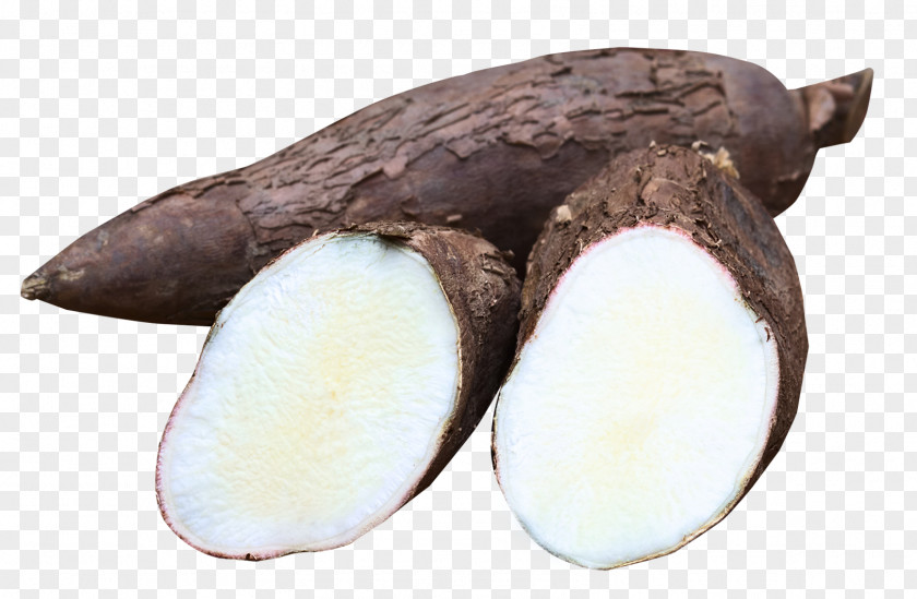 Cassava Amala Food Eba Yam PNG