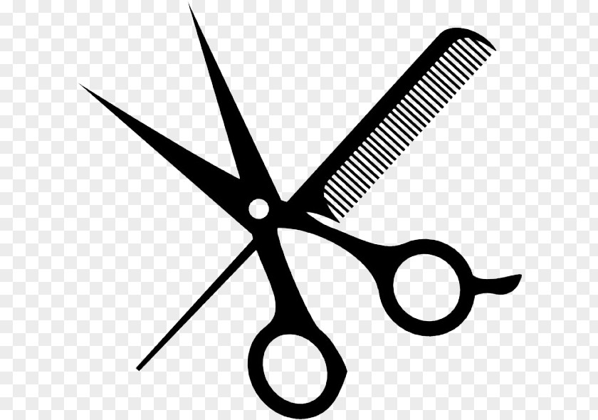 Hair Styling Tools Dryers Cartoon PNG