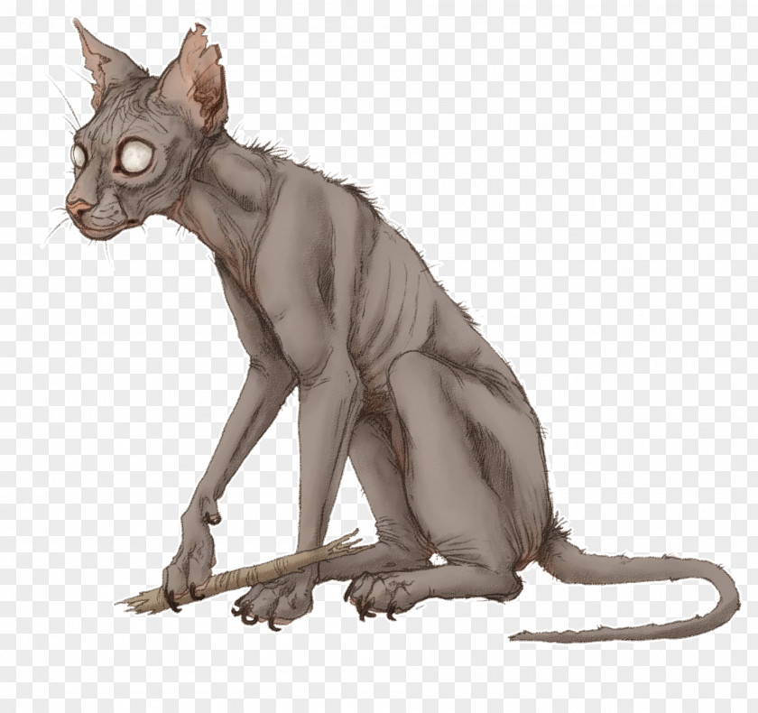Windclan Peterbald Whiskers Domestic Short-haired Cat Warriors Blossomfall PNG