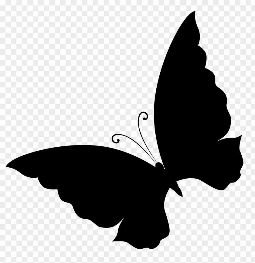 Brush-footed Butterflies Clip Art Silhouette Black M PNG