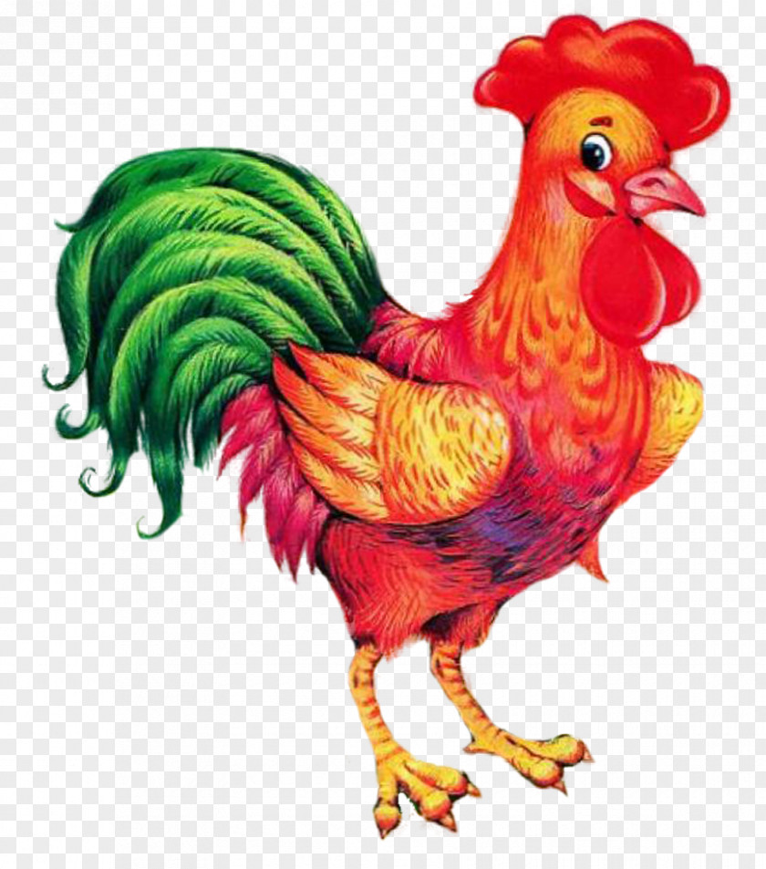 Cock Rooster Chicken Drawing PNG