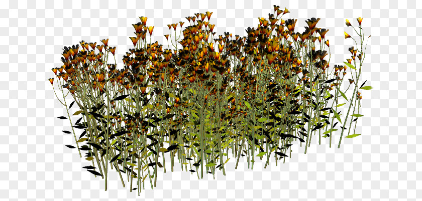 Flowers Grass PhotoScape GIMP Clip Art PNG