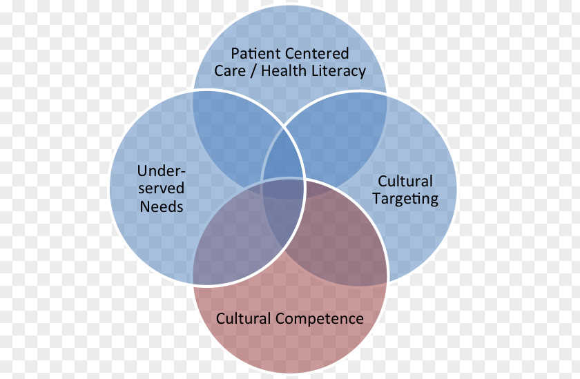 Health Intercultural Competence Culture Care Therapy PNG