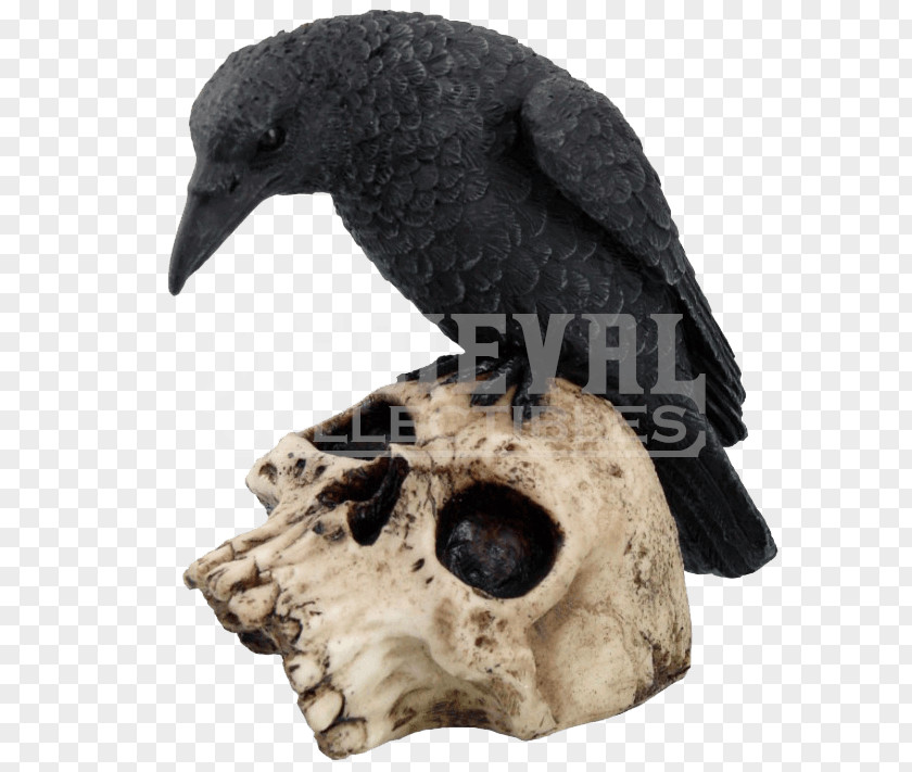 Perched Raven Overlay Statue Figurine Skull Polyresin Death PNG