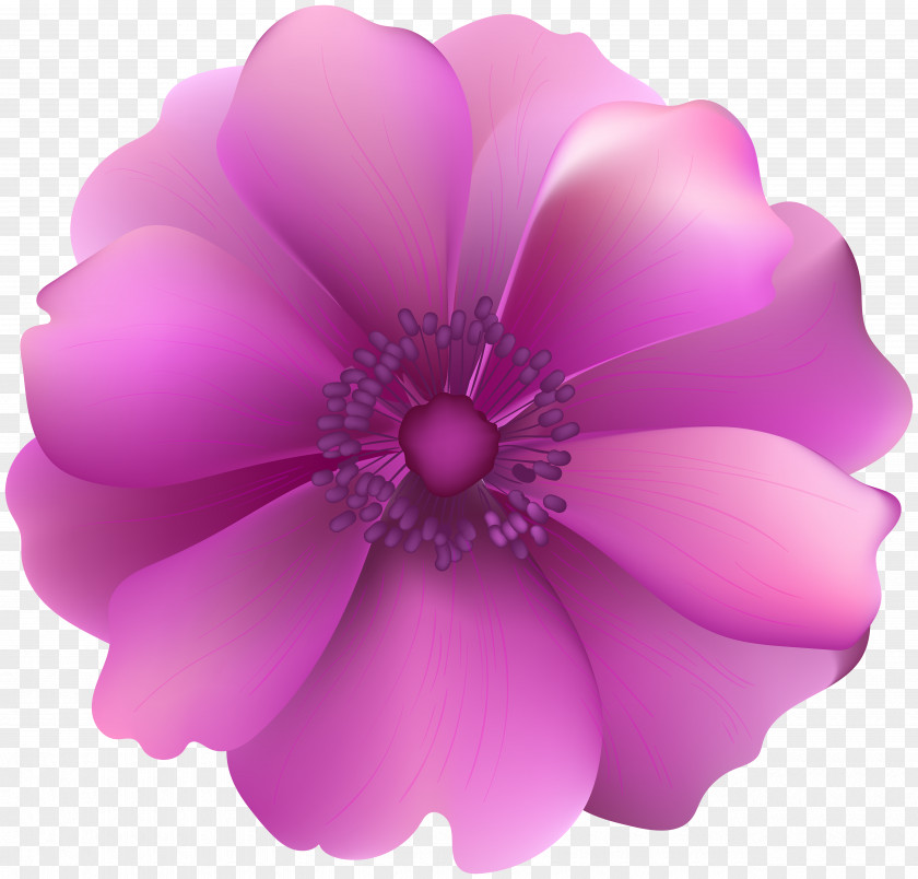 Pink Flowers Perfume Clip Art PNG