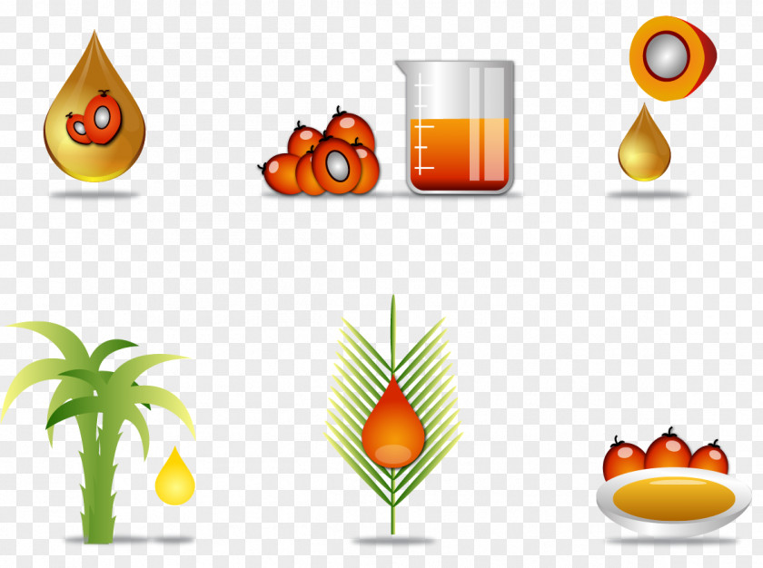 Vector Detecting Oil Palm Arecaceae PNG