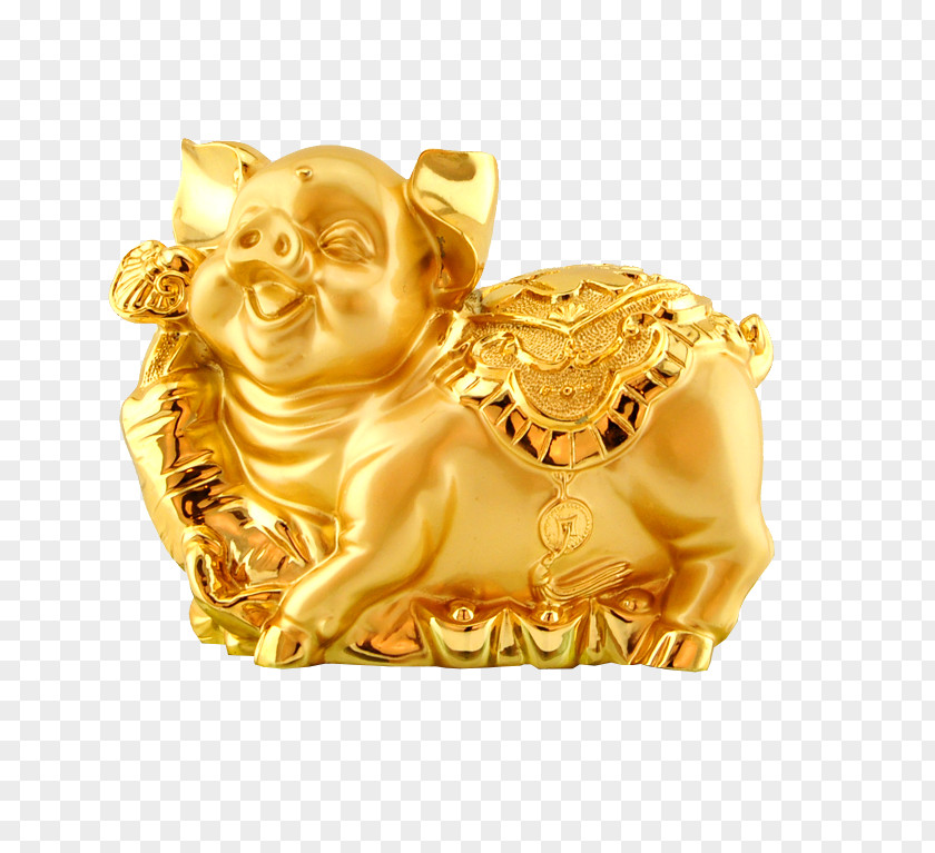 Zodiac Gold Pig Domestic Chinese PNG