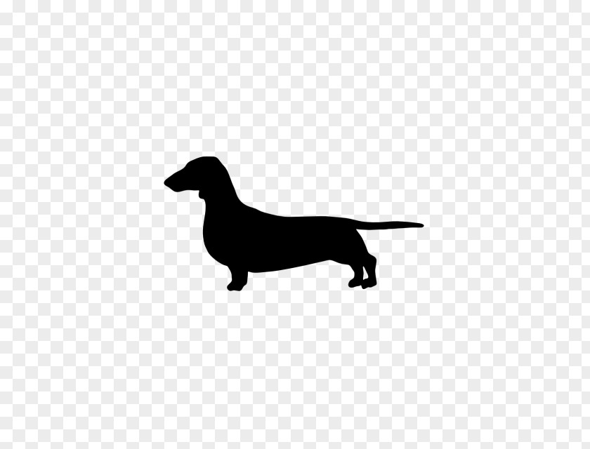 Hot Dog The Dachshund Labrador Retriever German Wirehaired Pointer PNG