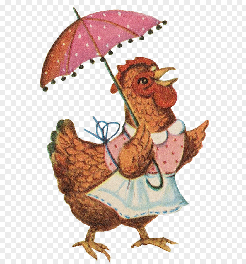 Lovely Illustrations Chicken Rooster Hen Kifaranga PNG