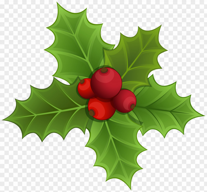 Mistletoe Clipart Image Christmas Clip Art PNG