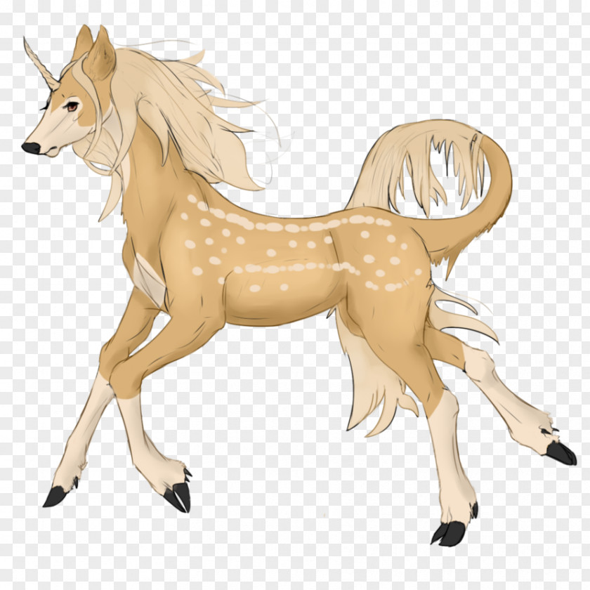 Mustang Pony Deer Pack Animal Fauna PNG