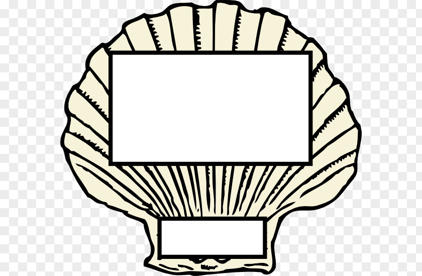 Shell Outline Clam Seashell Free Content Clip Art PNG