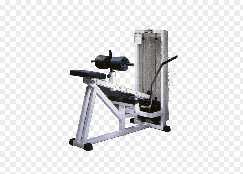 Calf Weightlifting Machine Fitness Centre The Verde Sport Di Guerriero Ornella Technogym PNG
