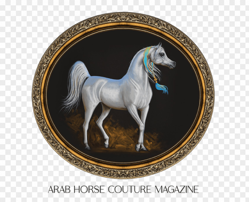 Exhibition Model Arabian Horse Dubai International Fair Thoroughbred Equestrian Stallion PNG