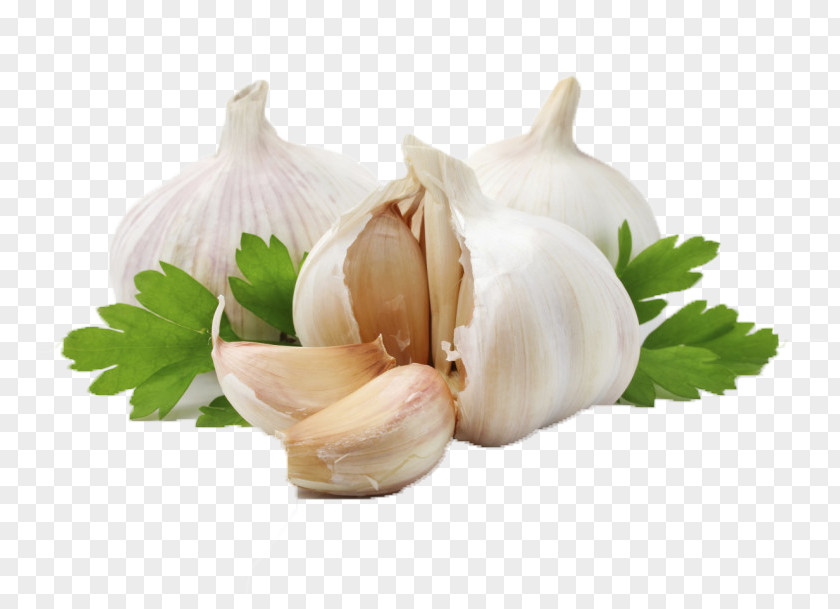 Garlic Olive Oil Herb Ingredient PNG