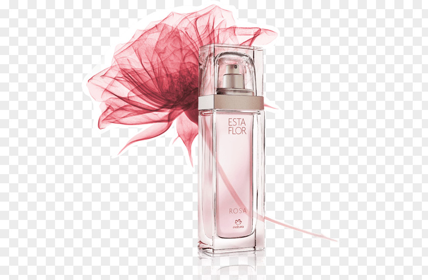 Perfume Perfumer Rose Natura &Co Flower PNG