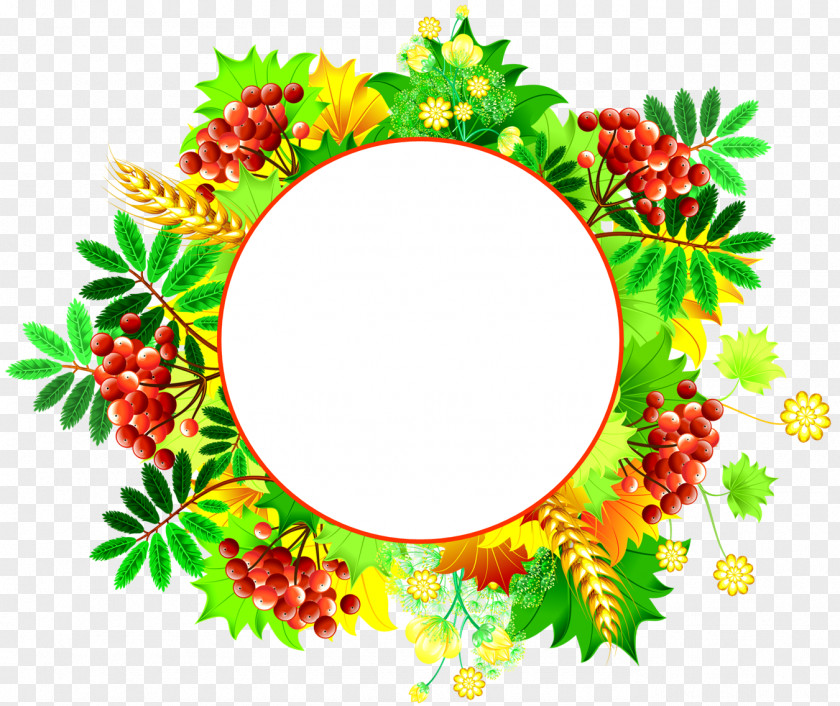 Round Frame Flower Floral Design Leaf Food PNG