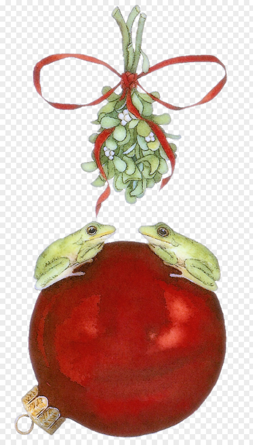 Tomato Pomegranate Juice Christmas Ornament Superfood Cranberry PNG