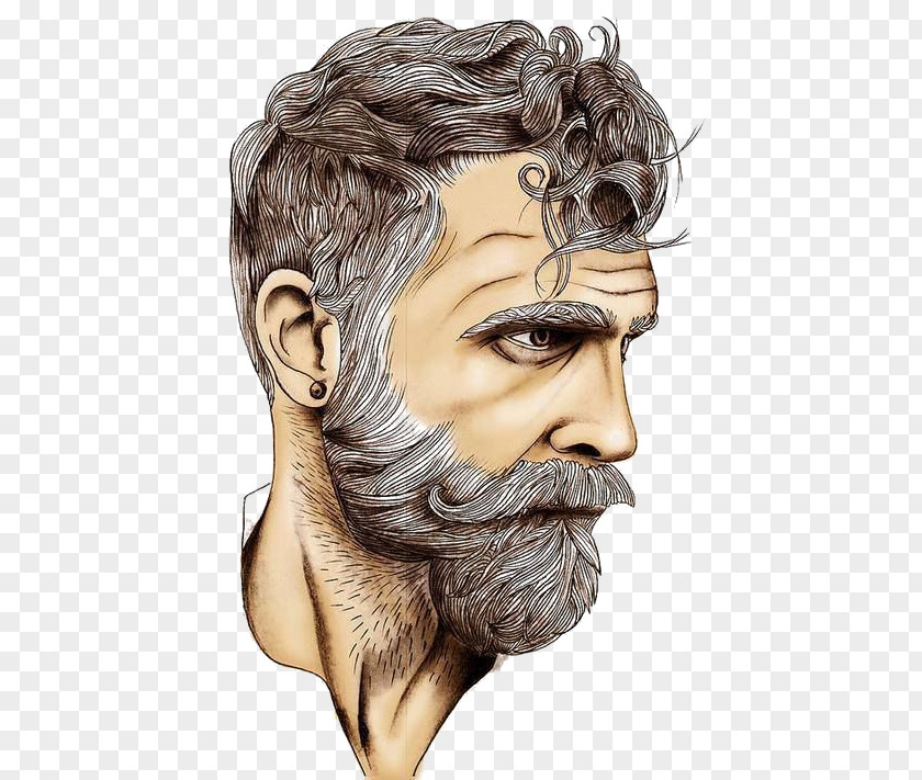 White Bearded Man Beard Drawing Art Sketch PNG