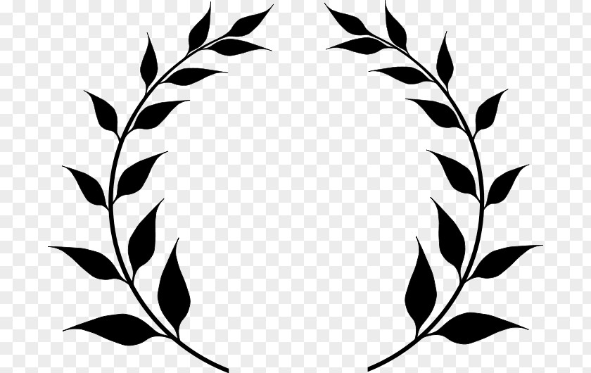 Decorative Borders Clip Art Olive Branch Vector Graphics Openclipart PNG